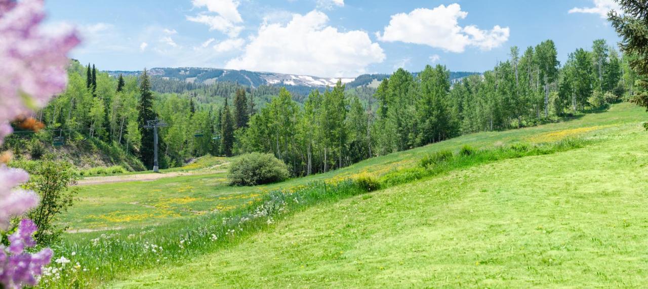Laurelwood Condominiums 307 Snowmass Village Dış mekan fotoğraf